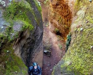 AGAR0309 Actividades Auxiliares en Conservación y Mejora de Montes