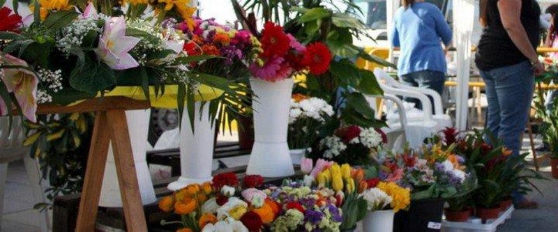 Ramos y macetas de flores en un puesto de mercado, cursos gratuitos