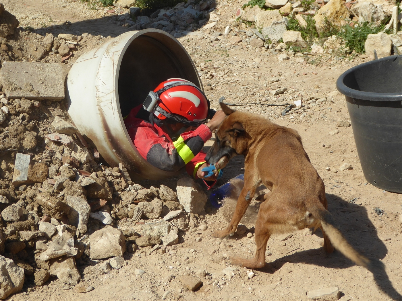 Trabajador (tubero) con casco dentro de una tubería interactuando con un perro