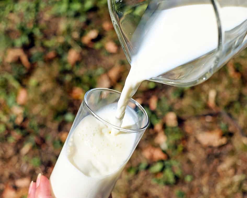 Vaso de vidrio siendo llenado con leche desde una jarra — cursos gratuitos