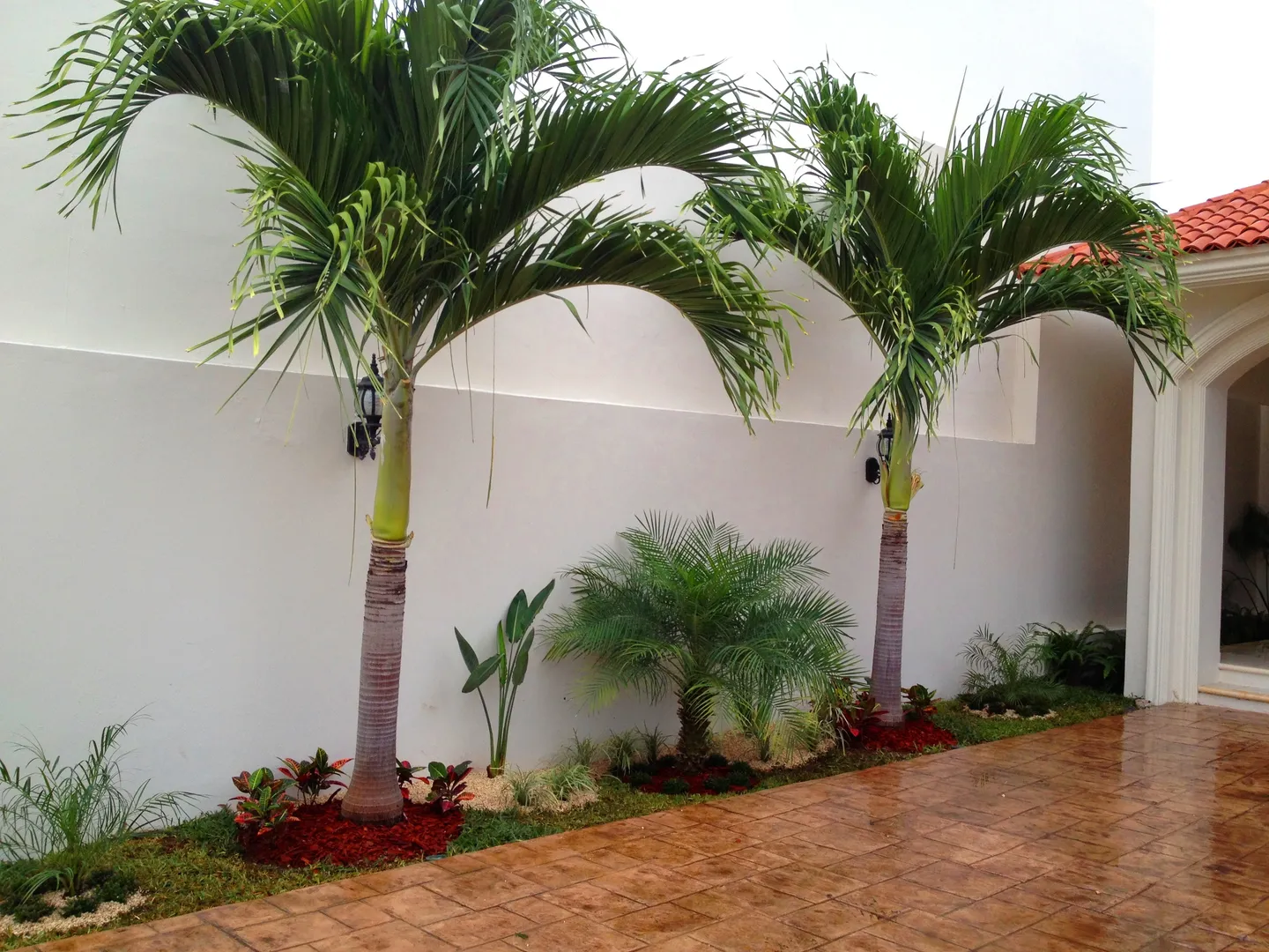 Patio con dos palmeras y jardineras junto a pared blanca — cursos en Huelva