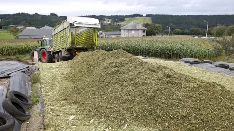 Tractor con remolque descargando forraje picado en montículo de ensilado