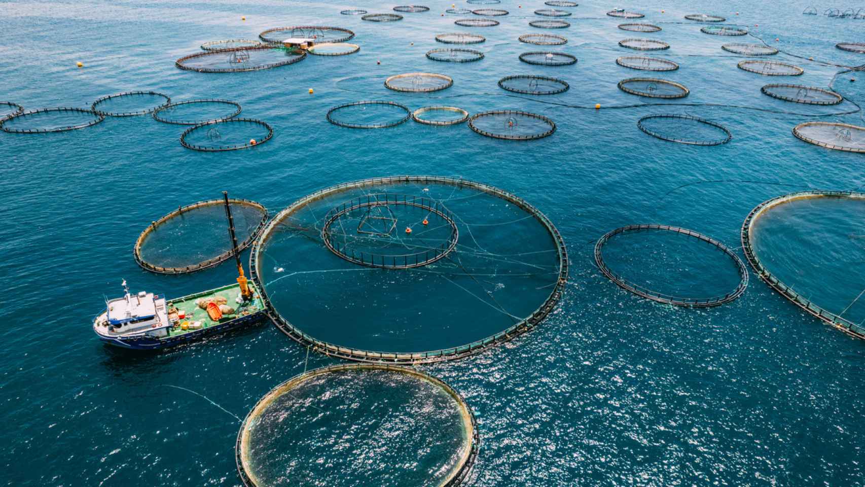 Jaulas circulares de acuicultura en mar junto a un barco de trabajo, cursos sector industrial