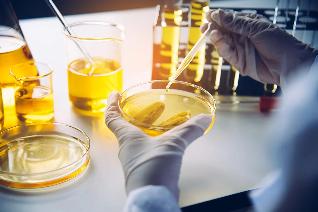 Manos enguantadas sostienen una placa de Petri con aceite y pipeta, cursos sector industrial