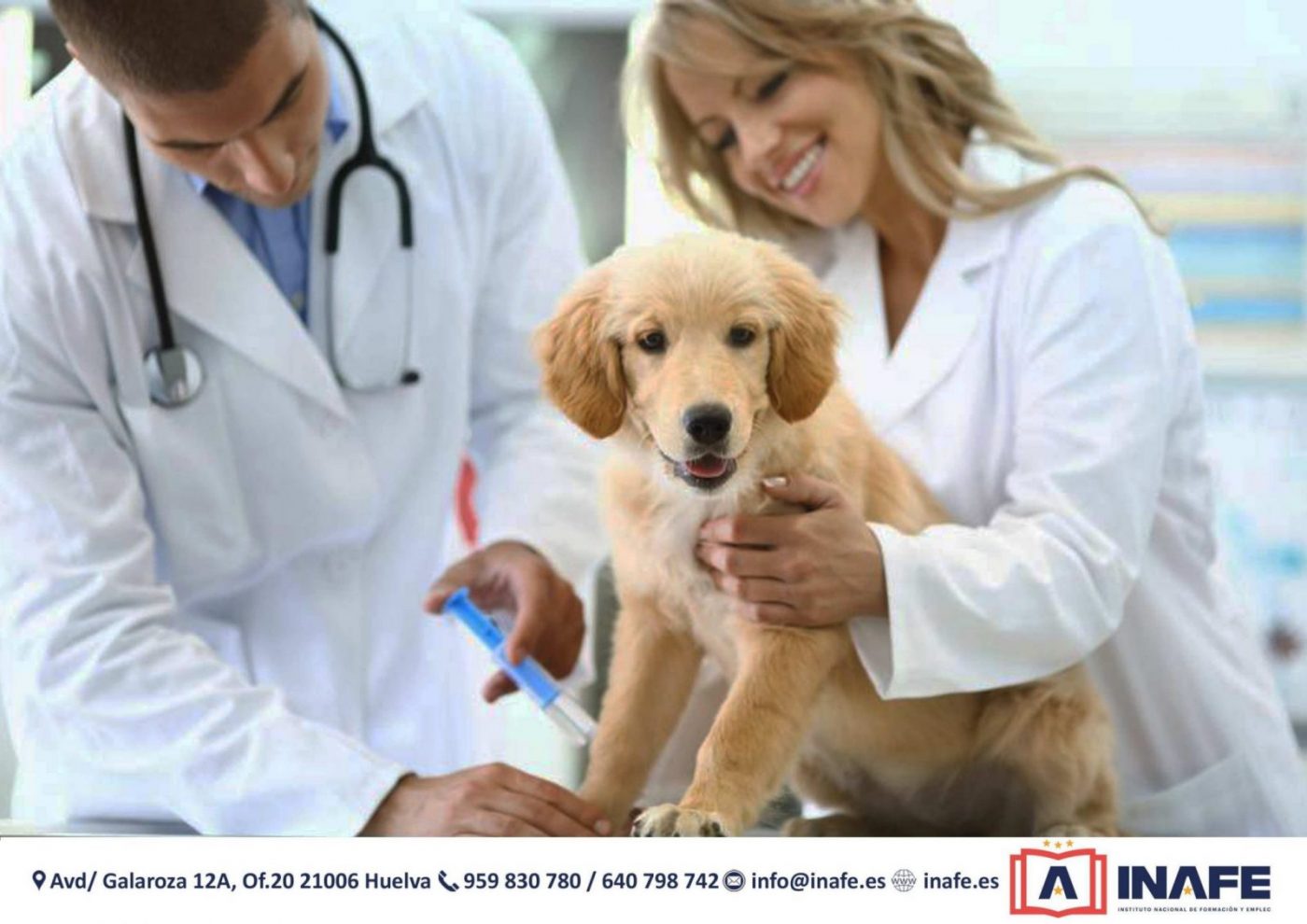 Veterinarios vacunando a un cachorro en clínica, formación profesional Huelva