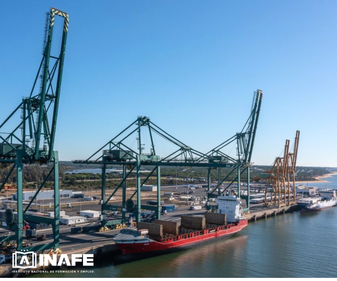 Grúas pórtico verdes en un muelle junto a un buque carguero rojo con contenedores