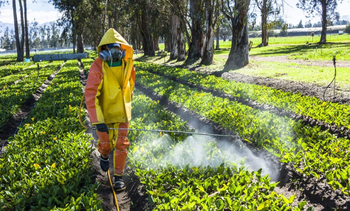 Operario con equipo de protección pulverizando cultivos — formación para el empleo