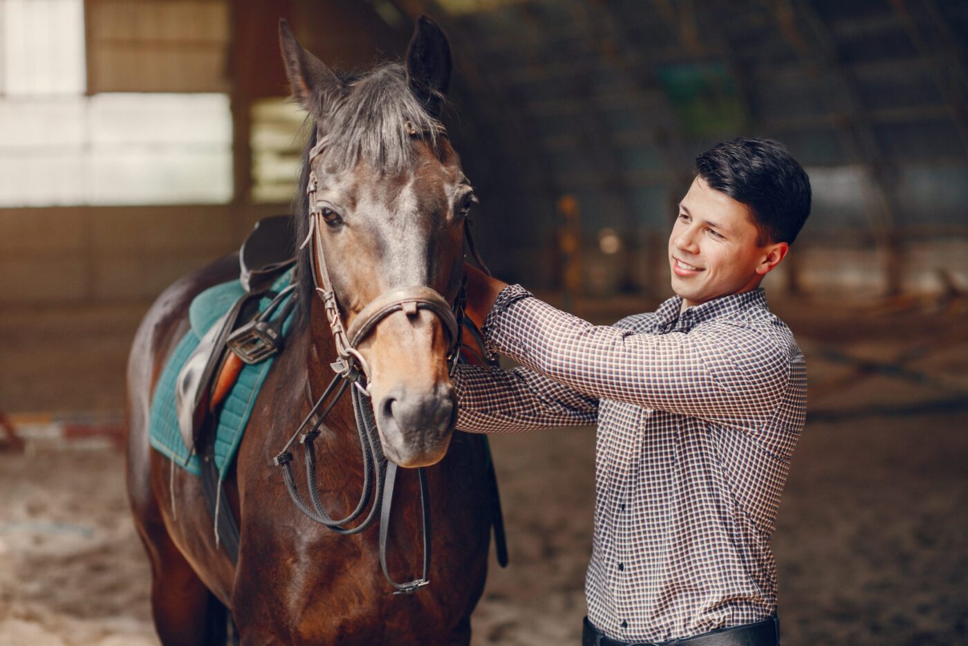 Hombre ajustando la brida de un caballo en un picadero — cursos con prácticas en empresa