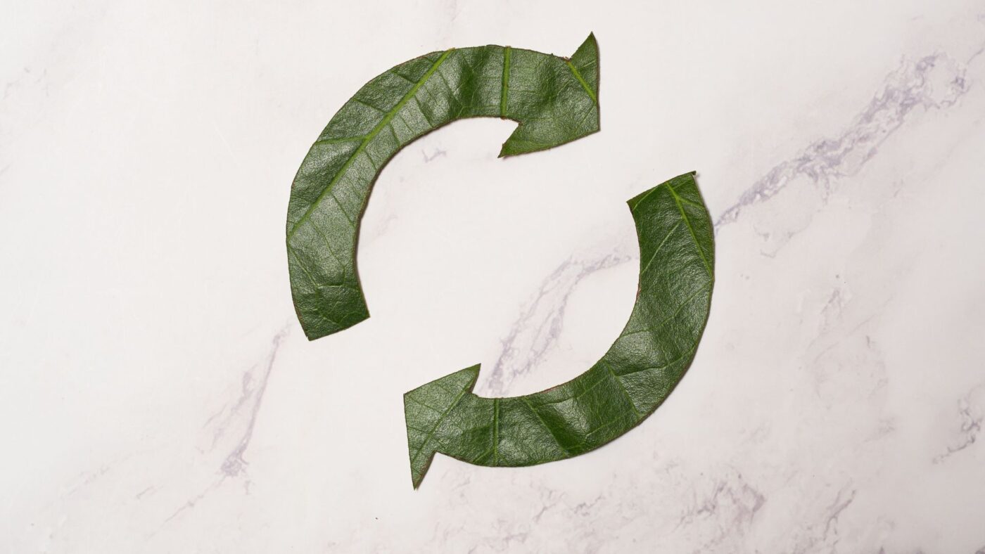 Flechas circulares de hojas verdes — formación para el empleo
