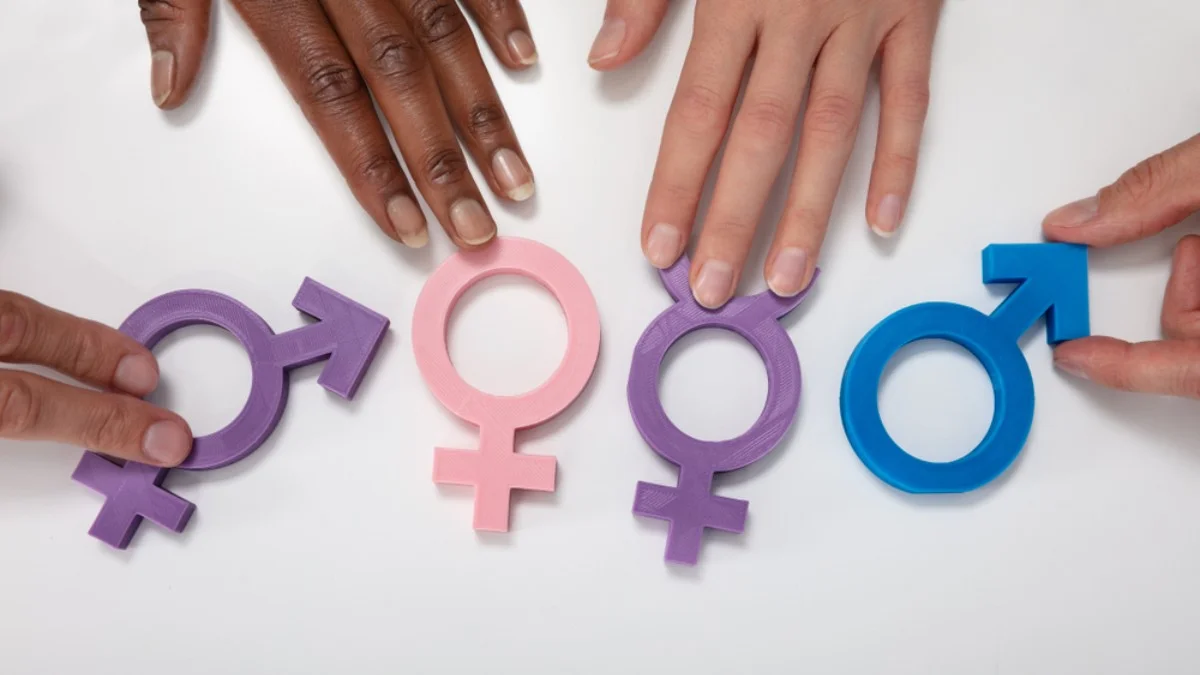 Manos de distintas pieles tocando símbolos de género de plástico rosa, morado y azul — formación para el empleo