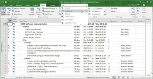 Especialista en Microsoft Project 2019
