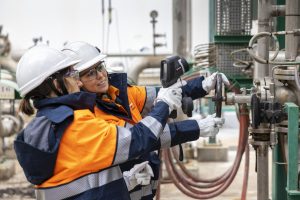 QUIE0108 Operaciones Básicas en Planta Química (online)