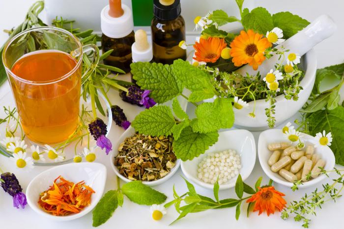 Taza de infusión, plantas medicinales y frascos de remedios (cursos online)